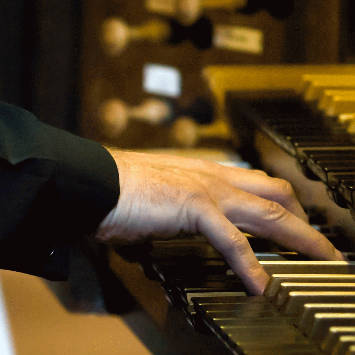 Orgel